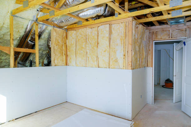 Best Insulation Contractors for Homes  in Ashland, VA