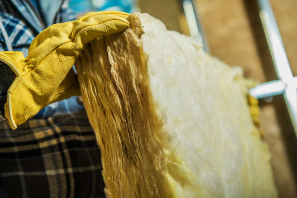 Best Best Insulation Companies  in Ashland, VA
