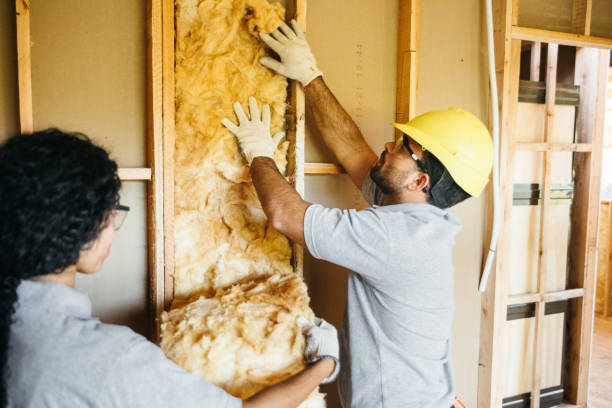 Best Spray Foam Insulation  in Ashland, VA