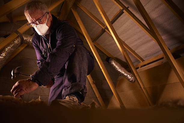 Best Garage Insulation Installation  in Ashland, VA